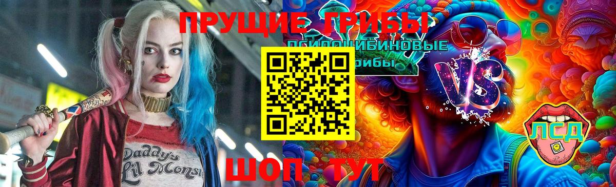 Галлюциногенные грибы Psilocybine cubensis  Вход с VPN  Галлюциногенные грибы прущие грибы  Усть-Джегута 